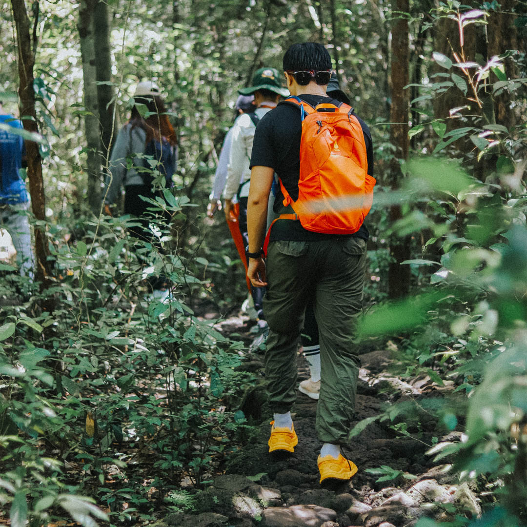 Leo núi trong ngày tại Nam Cát Tiên
