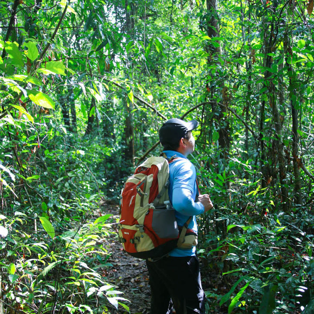 Tà Đùng - địa điểm trekking tại Đắk Nông