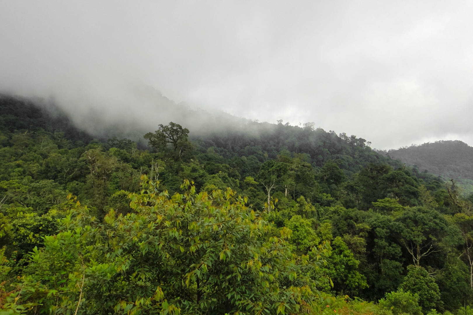 Langbiang, trekking ngọn núi cao nhất nhì tại Đà Lạt