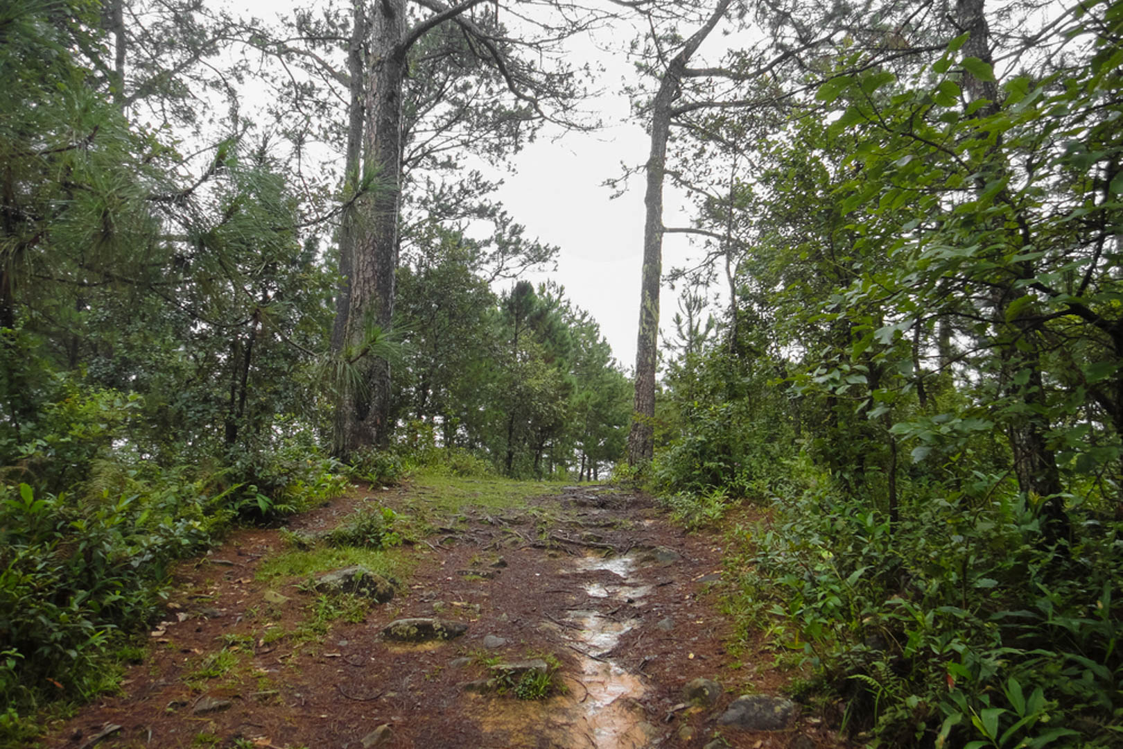 Langbiang, trekking ngọn núi cao nhất nhì tại Đà Lạt