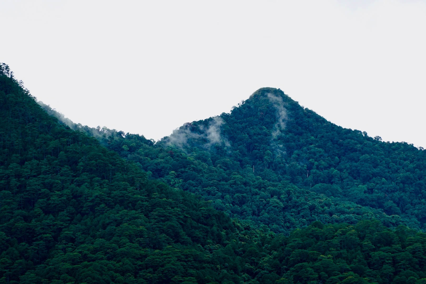 Langbiang, trekking ngọn núi cao nhất nhì tại Đà Lạt