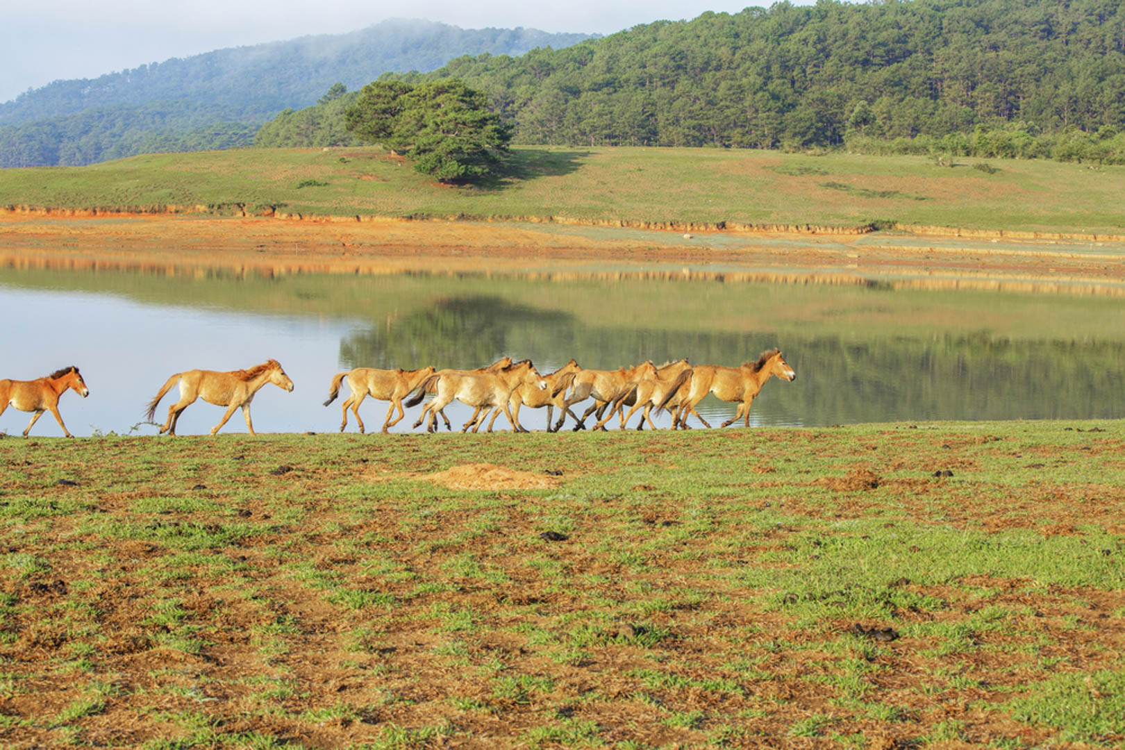 Langbiang, trekking ngọn núi cao nhất nhì tại Đà Lạt