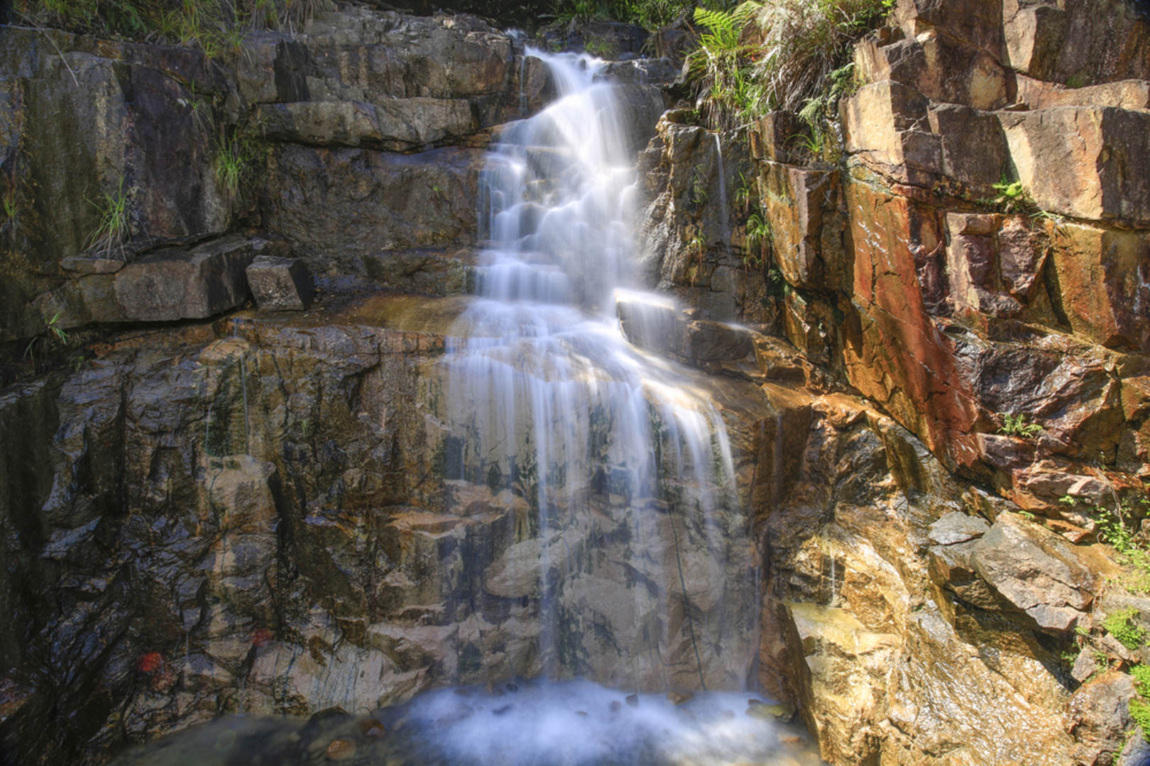 Bidoup Tà Giang - Sự giao thoa của núi cao đến miền cỏ hát