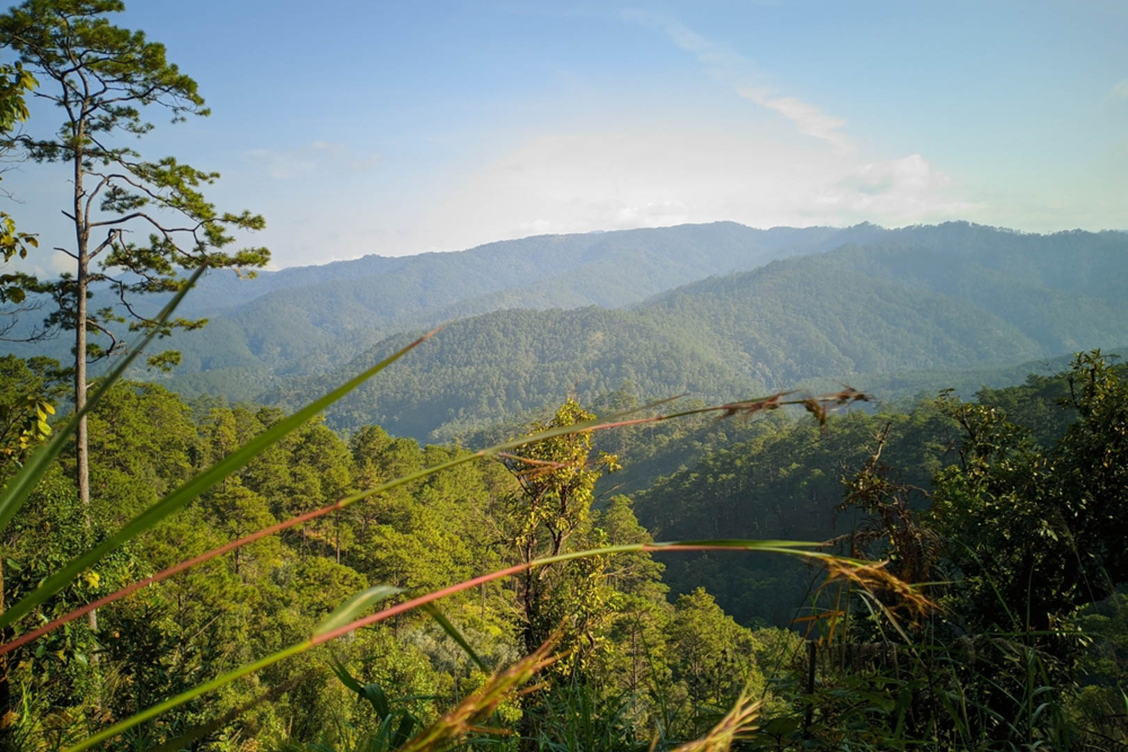 Bidoup Tà Giang - Sự giao thoa của núi cao đến miền cỏ hát