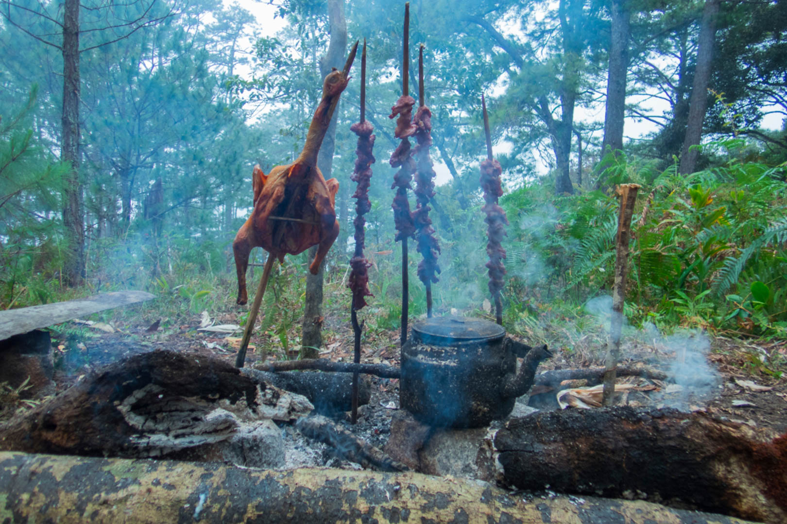 Bidoup Tà Giang - Sự giao thoa của núi cao đến miền cỏ hát