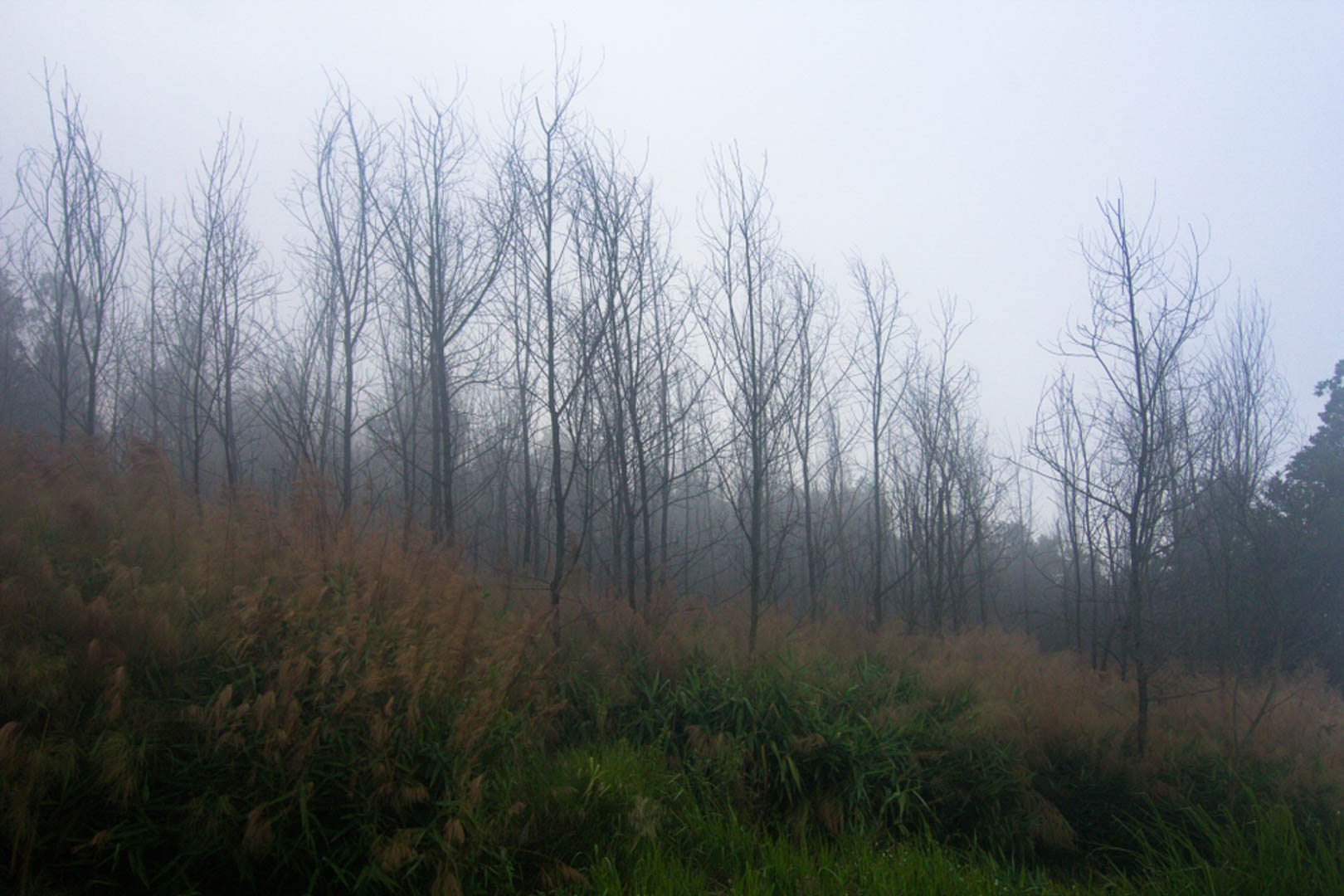 Leo núi Chứa Chan Đồng Nai - Tất tần tật bạn nên biết