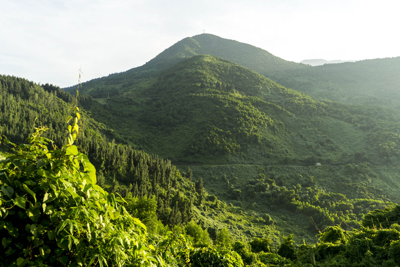 Vườn quốc gia Bạch Mã có gì?