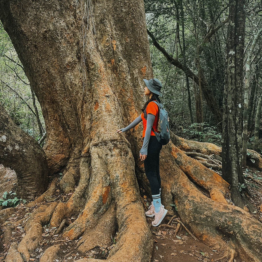 Balo leo núi trekking Việt Nam dung tích 12 lít Yuzi Flexible YZ12