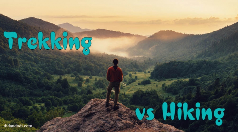 Trekking là gì? Điểm khác biệt giữa đi trekking và hiking là gì?